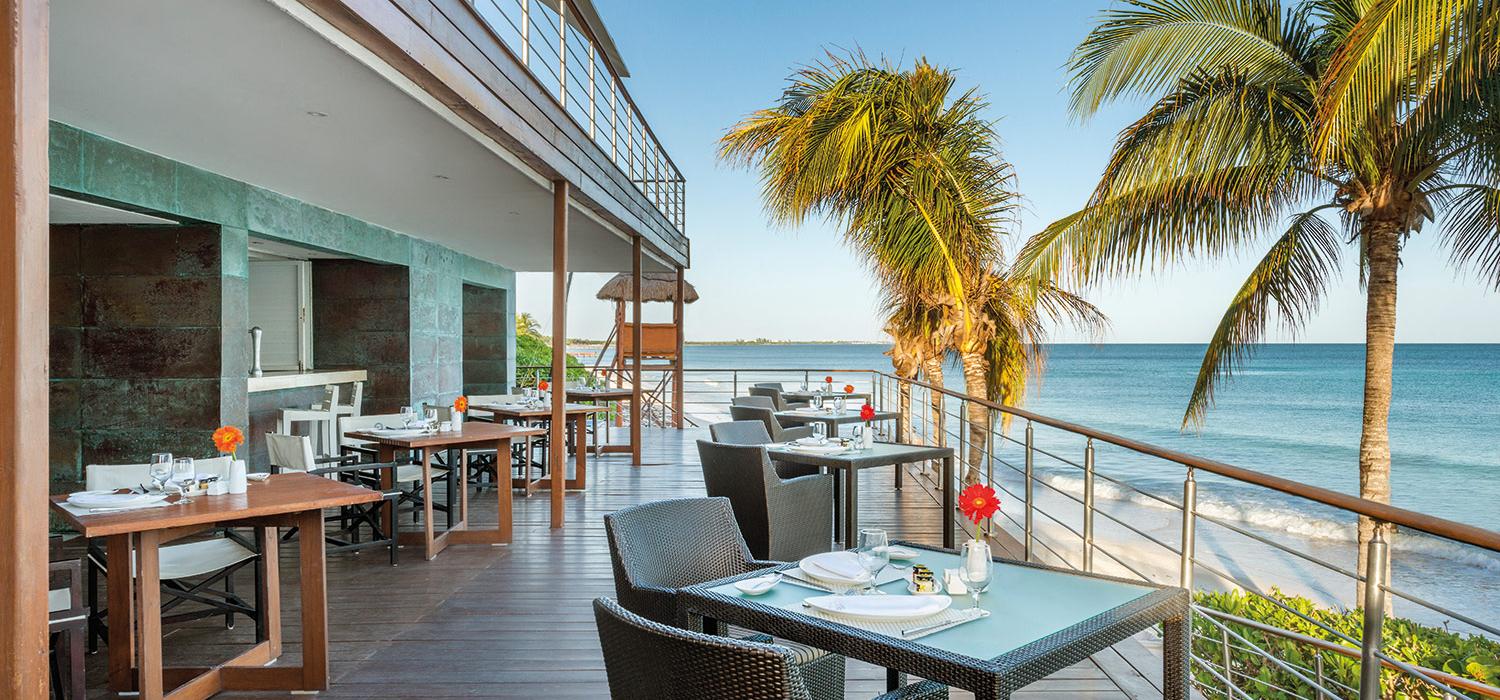 CEVICHE BAR Blue Diamond Wellness Resort Riviera Maya CEVICHE BAR Blue Diamond Wellness Resort Riviera Maya