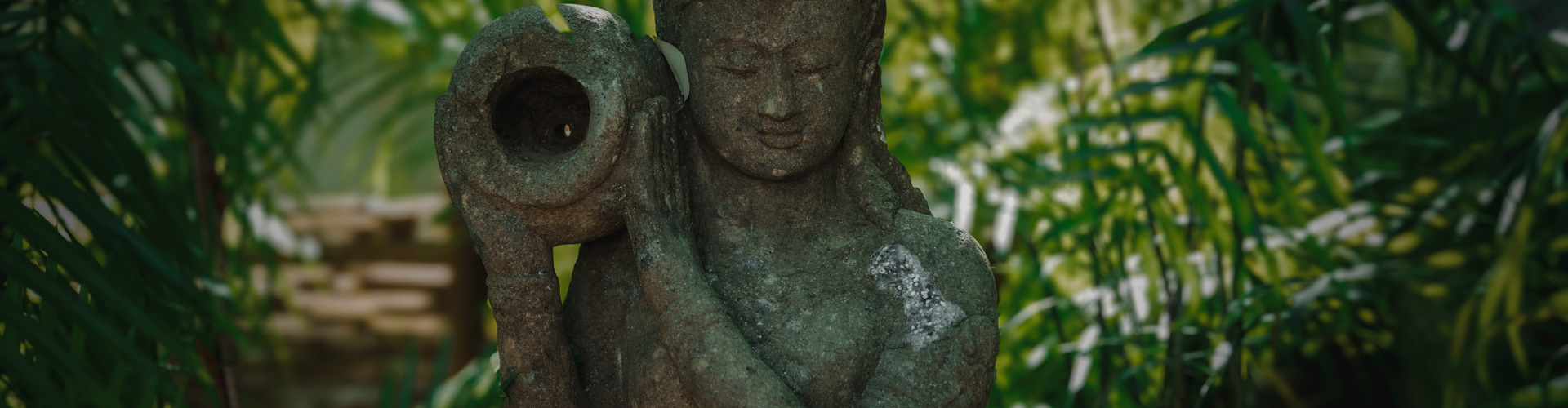   Blue Diamond Wellness Resort Riviera Maya